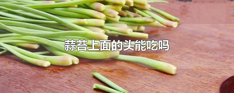 蒜苔上面的头能吃吗