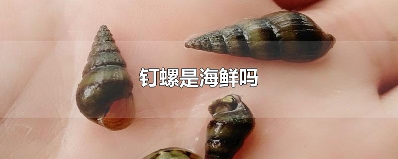 钉螺是海鲜吗