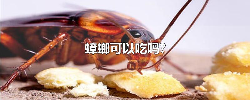 蟑螂可以吃吗?-最新蟑螂可以吃吗?整理解答