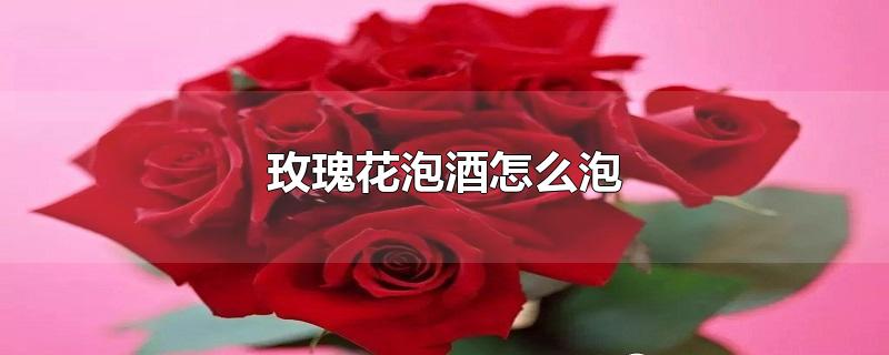 玫瑰花泡酒怎么泡