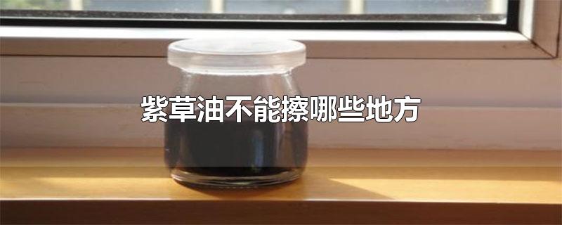 紫草油不能擦哪些地方-最新紫草油不能擦哪些地方整理解答