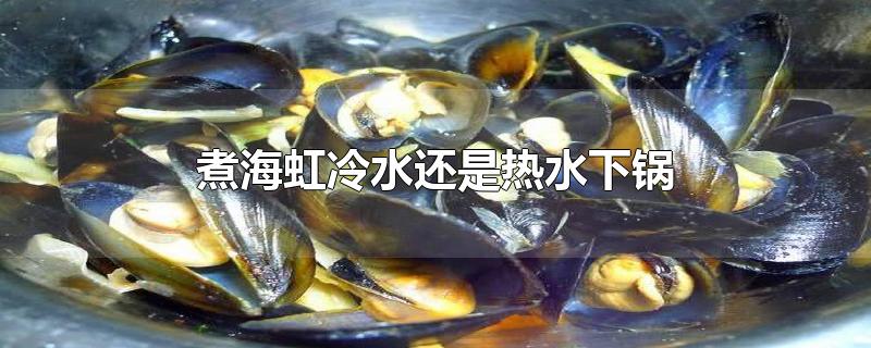 煮海虹冷水还是热水下锅-最新煮海虹冷水还是热水下锅整理解答