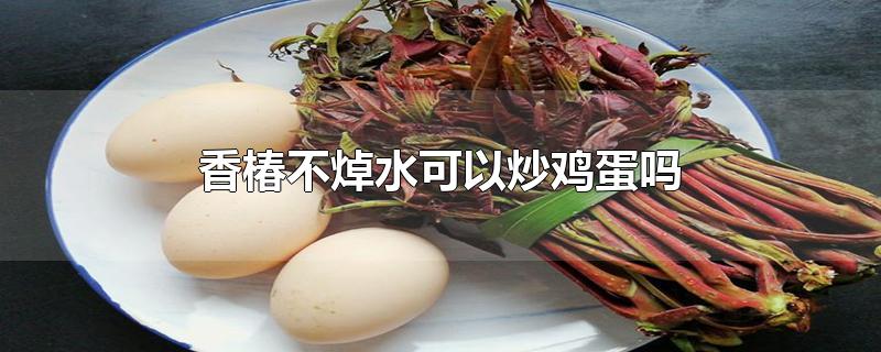 香椿不焯水可以炒鸡蛋吗-最新香椿不焯水可以炒鸡蛋吗整理解答