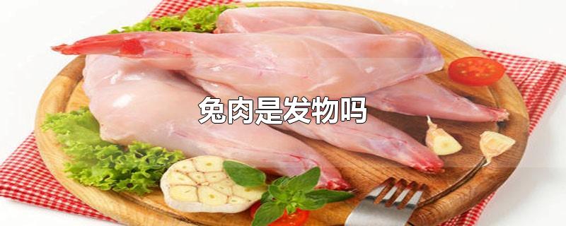 兔肉是发物吗-最新兔肉是发物吗整理解答