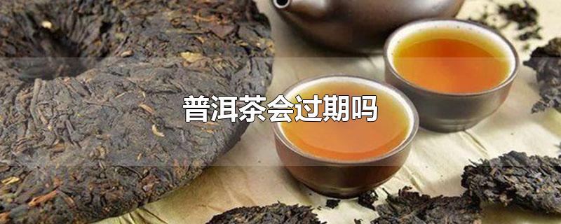 普洱茶会过期吗