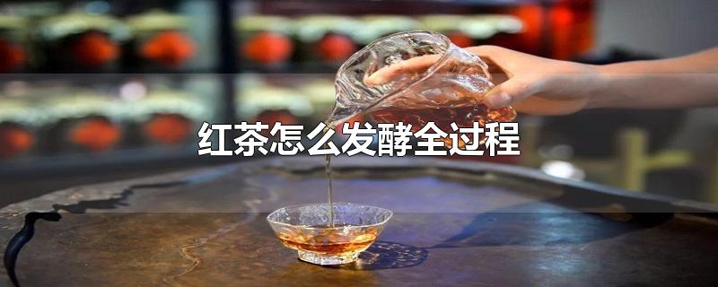 红茶怎么发酵全过程-最新红茶怎么发酵全过程整理解答