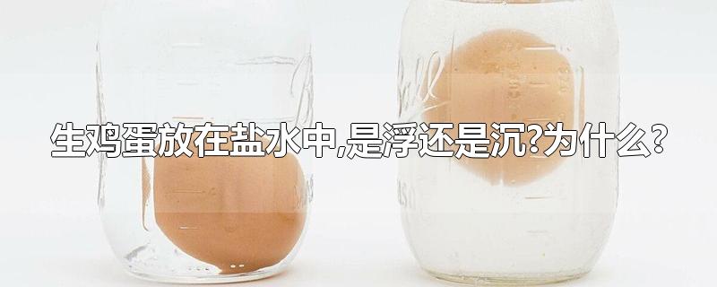 生鸡蛋放在盐水中,是浮还是沉?为什么?