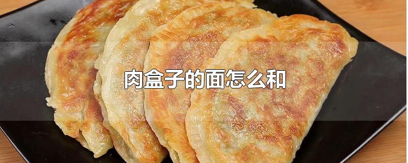 肉盒子的面怎么和-最新肉盒子的面怎么和整理解答