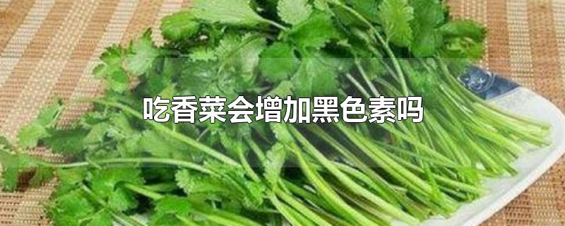 吃香菜会增加黑色素吗