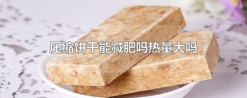 压缩饼干能减肥吗热量大吗