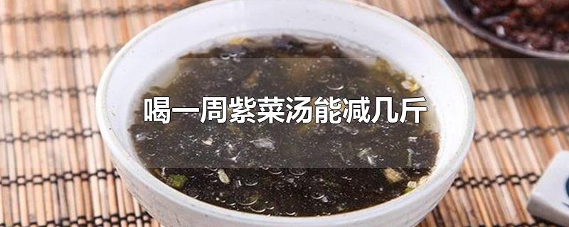 喝一周紫菜汤能减几斤