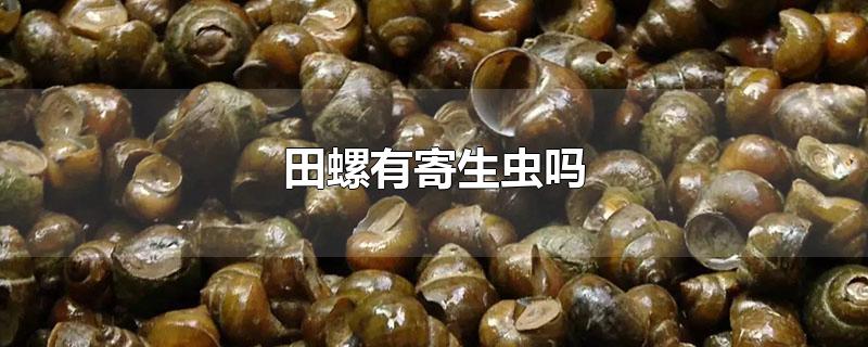 田螺有寄生虫吗-最新田螺有寄生虫吗整理解答