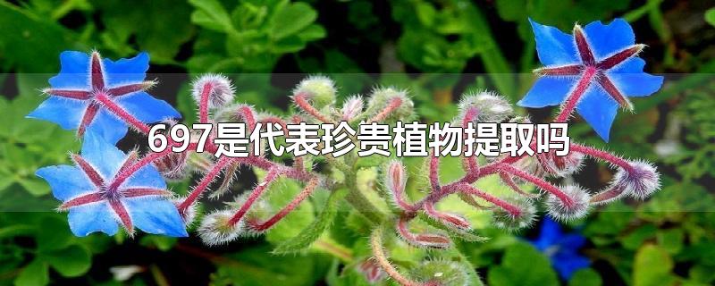 697是代表珍贵植物提取吗-最新697是代表珍贵植物提取吗整理解答