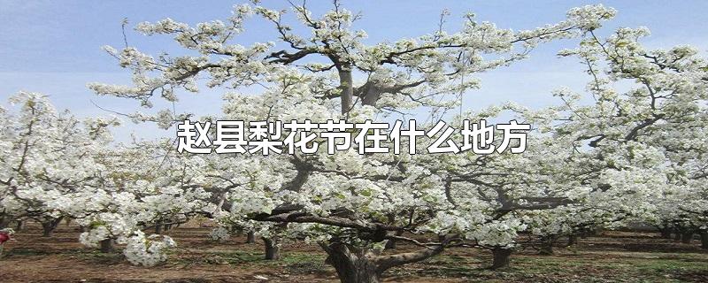 赵县梨花节在什么地方-最新赵县梨花节在什么地方整理解答