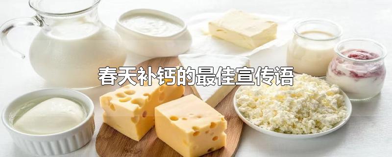 春天补钙的最佳宣传语-最新春天补钙的最佳宣传语整理解答