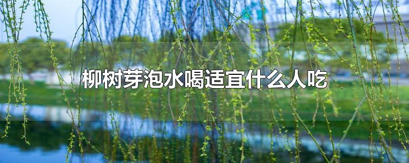 柳树芽泡水喝适宜什么人吃-最新柳树芽泡水喝适宜什么人吃整理解答