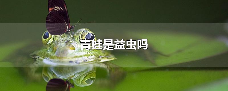 青蛙是益虫吗-最新青蛙是益虫吗整理解答