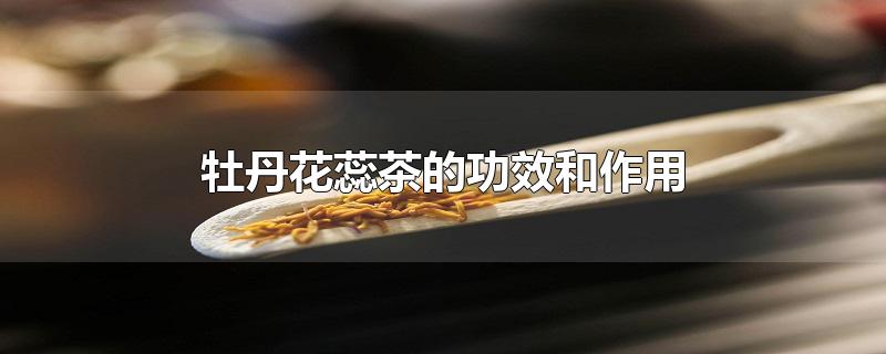 牡丹花蕊茶的功效和作用-最新牡丹花蕊茶的功效和作用整理解答