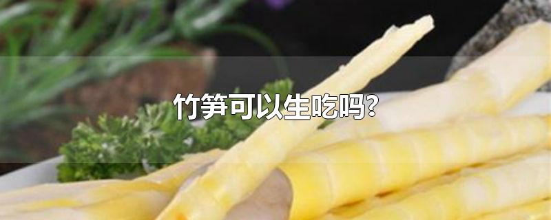 竹笋可以生吃吗?