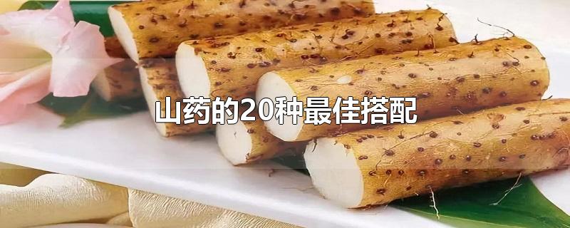 山药的20种最佳搭配