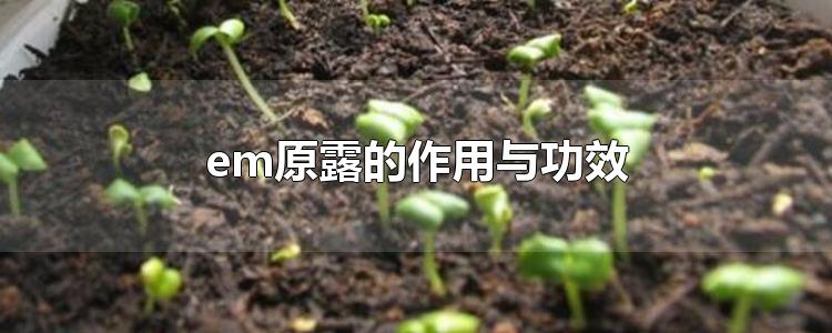 em原露的作用与功效-最新em原露的作用与功效整理解答