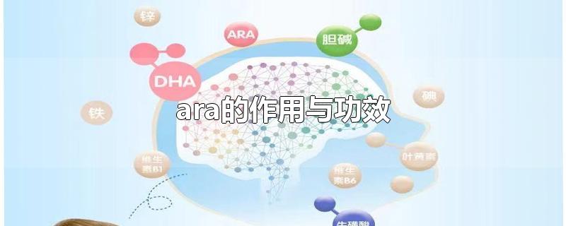 ara的作用与功效-最新ara的作用与功效整理解答