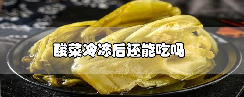 酸菜冷冻后还能吃吗