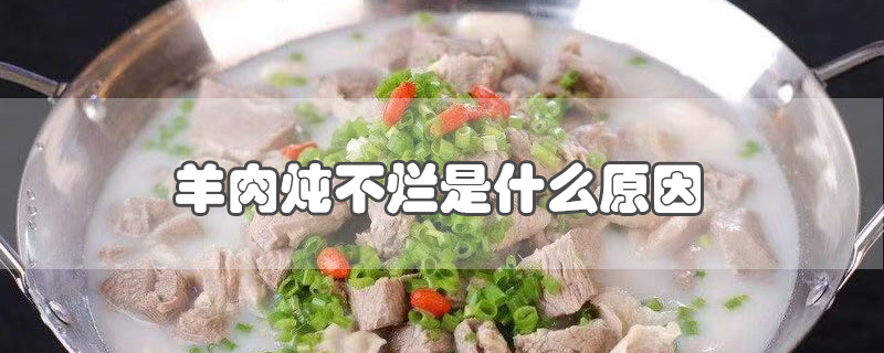 羊肉炖不烂是什么原因-最新羊肉炖不烂是什么原因整理解答