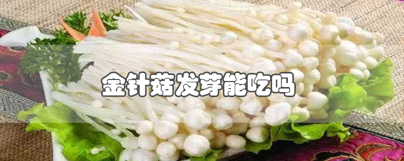 金针菇发芽能吃吗