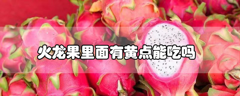 火龙果里面有黄点能吃吗