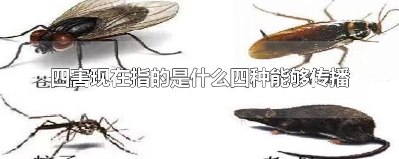 四害现在指的是什么四种能够传播-最新四害现在指的是什么四种能够传播整理解答