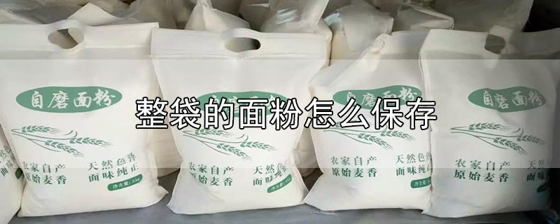 整袋的面粉怎么保存-最新整袋的面粉怎么保存整理解答