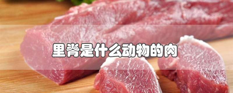 里脊是什么动物的肉-最新里脊是什么动物的肉整理解答