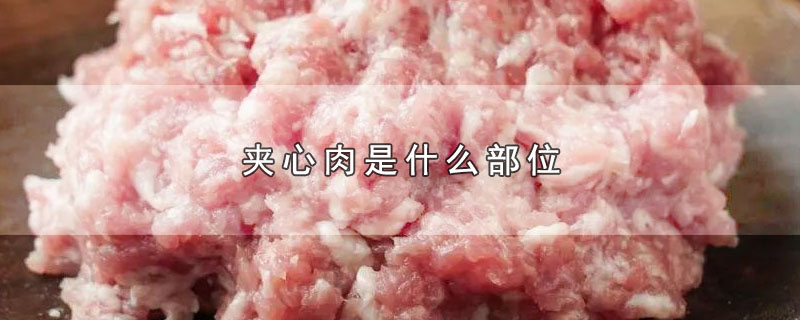 夹心肉是什么部位-最新夹心肉是什么部位整理解答