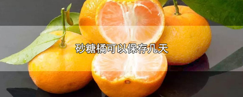 砂糖橘可以保存几天