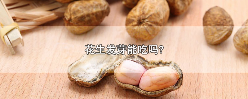 花生发芽能吃吗?-最新花生发芽能吃吗?整理解答