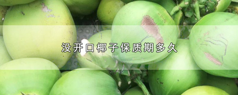 没开口椰子保质期多久-最新没开口椰子保质期多久整理解答