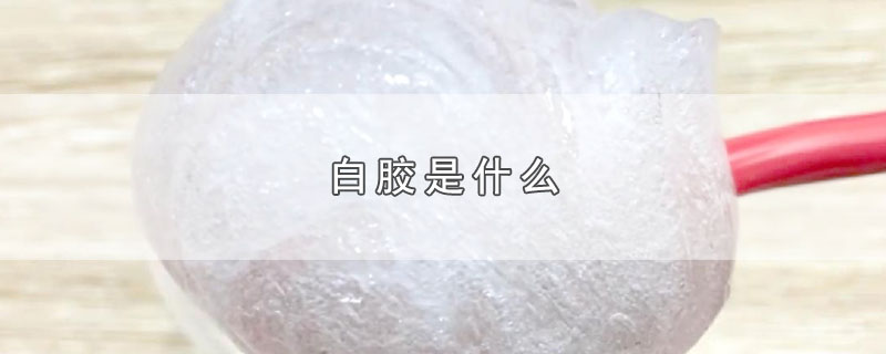 白胶是什么-最新白胶是什么整理解答