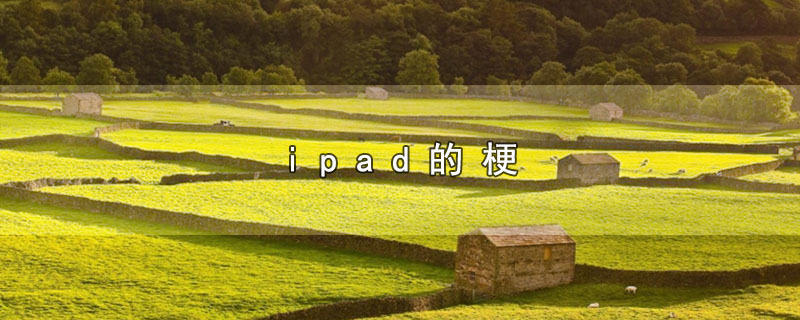 ipad的梗-最新ipad的梗整理解答