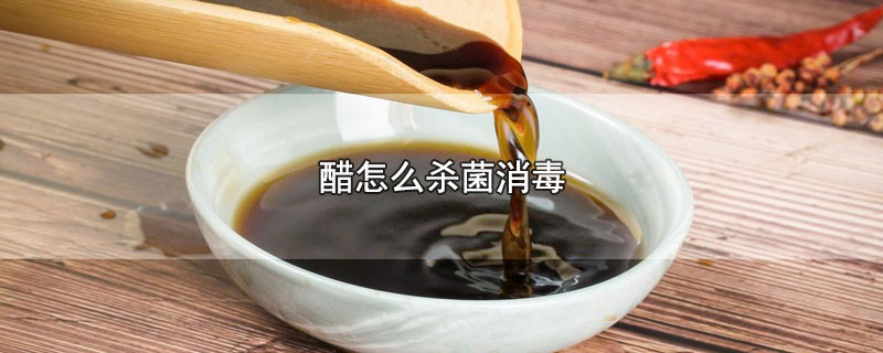 醋怎么杀菌消毒-最新醋怎么杀菌消毒整理解答