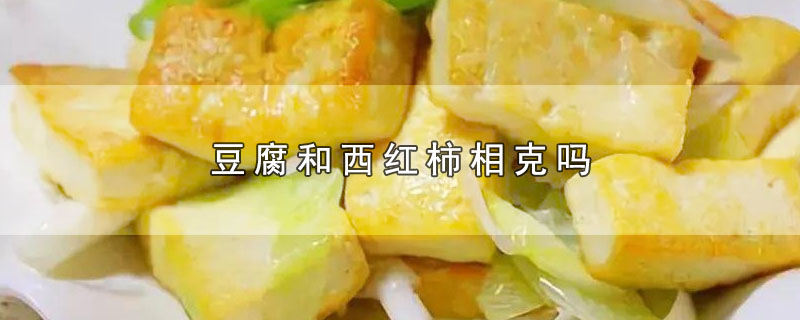 豆腐和西红柿相克吗-最新豆腐和西红柿相克吗整理解答