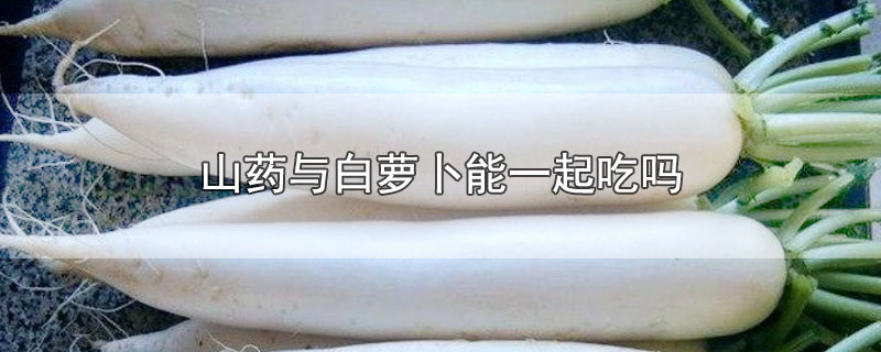 山药与白萝卜能一起吃吗-最新山药与白萝卜能一起吃吗整理解答