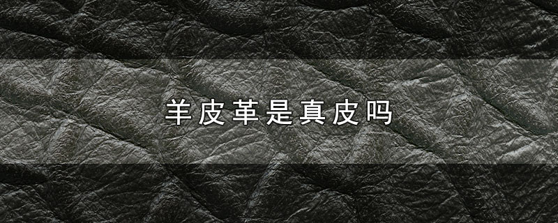 羊皮革是真皮吗-最新羊皮革是真皮吗整理解答