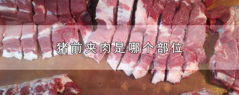 猪前夹肉是哪个部位-最新猪前夹肉是哪个部位整理解答