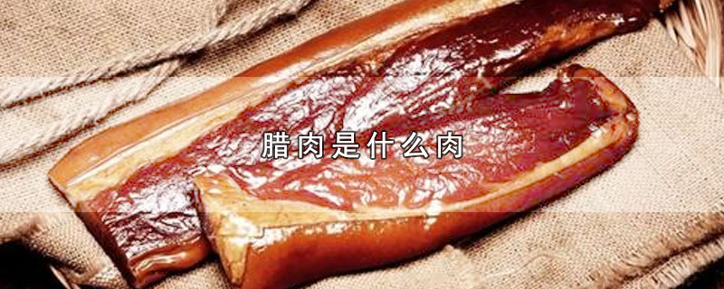 腊肉是什么肉