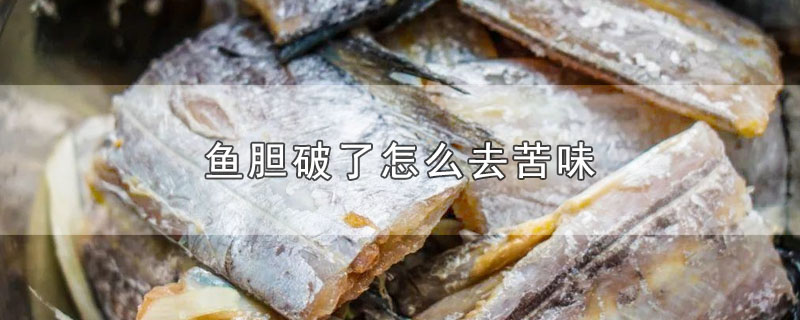 鱼胆破了怎么去苦味-最新鱼胆破了怎么去苦味整理解答