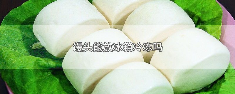 馒头能放冰箱冷冻吗-最新馒头能放冰箱冷冻吗整理解答