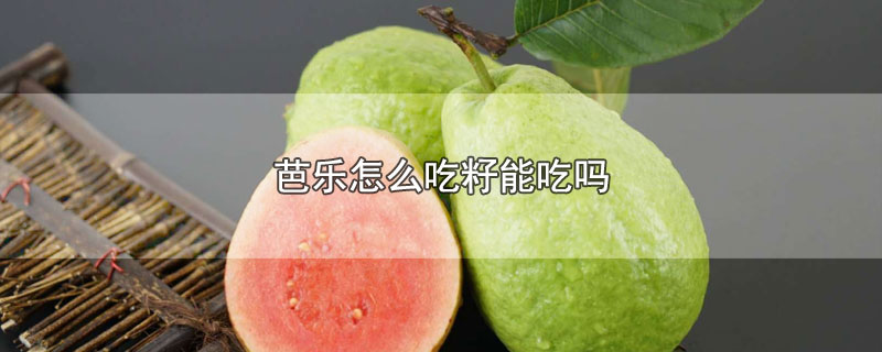 芭乐怎么吃籽能吃吗-最新芭乐怎么吃籽能吃吗整理解答