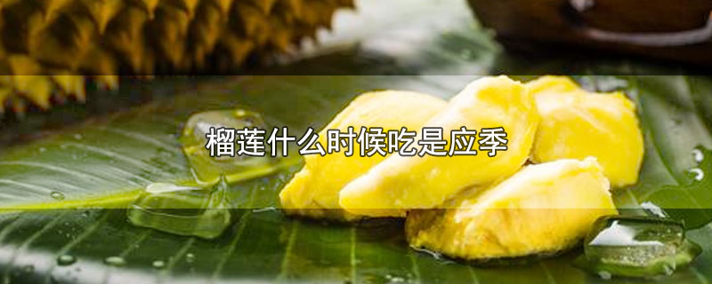 榴莲什么时候吃是应季-最新榴莲什么时候吃是应季整理解答