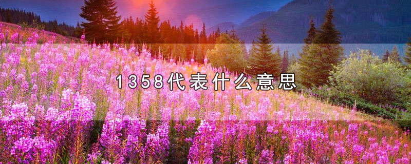 1358代表什么意思-最新1358代表什么意思整理解答